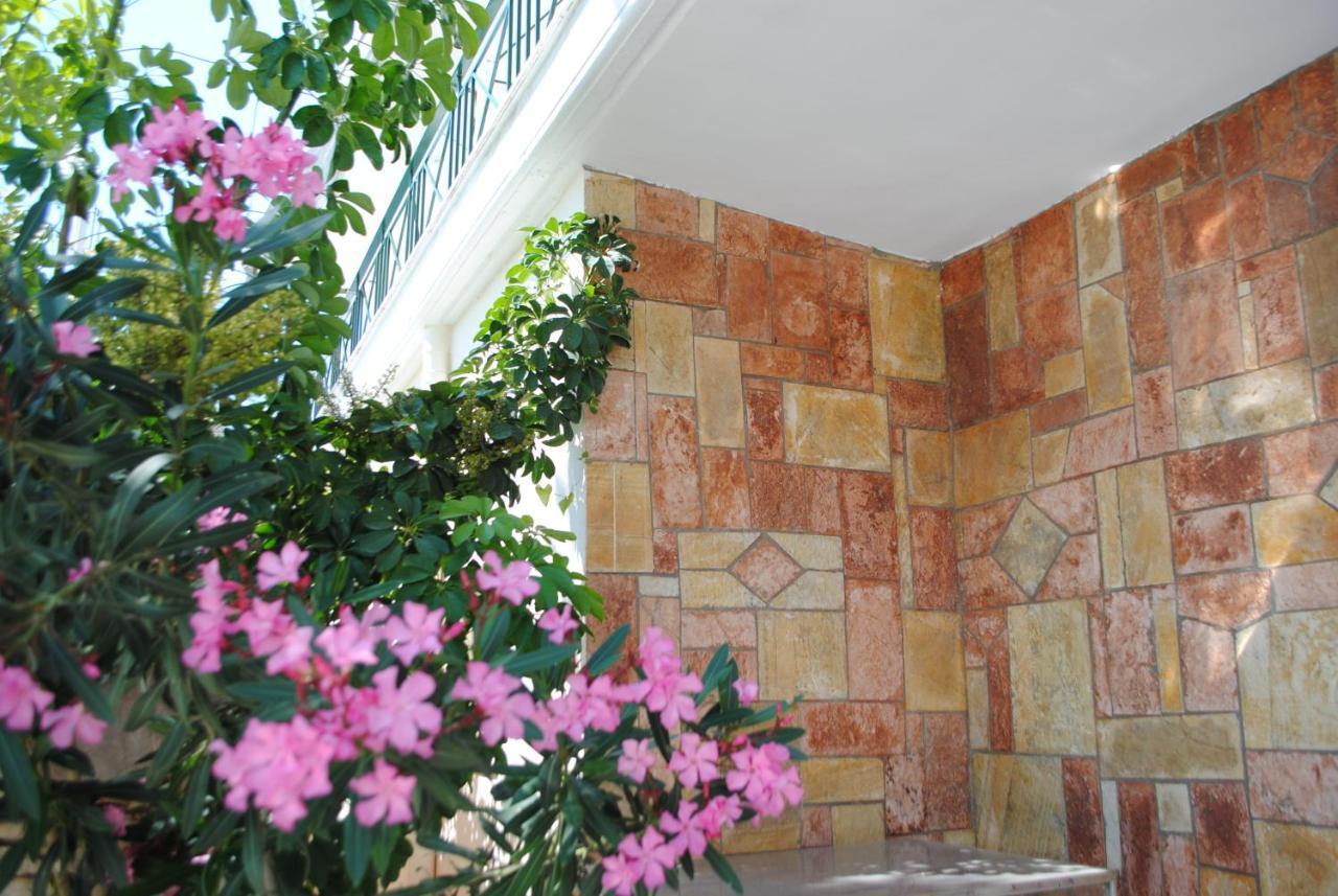 Hotel Mikela คซามิล ภายนอก รูปภาพ